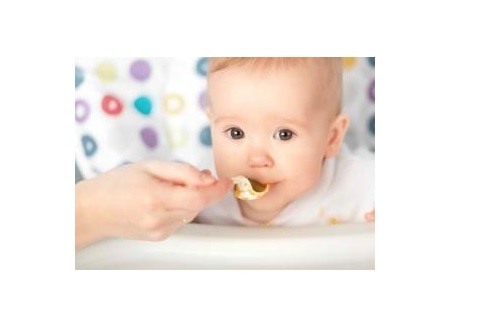 Les recommandations sur le moment optimal d’introduction dans l’alimentation du nourrisson des aliments complémentaires au lait maternel ou aux préparations fixent l'âge de 6 mois environ