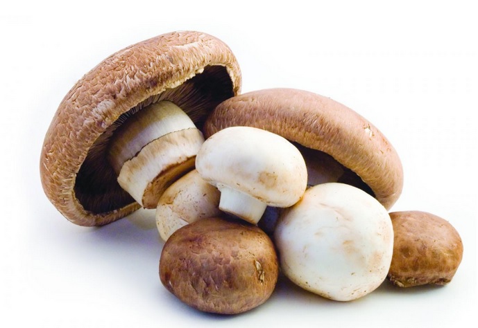 Un impact nutritionnel significatif de l'ajout d'une seule portion de champignons à l'alimentation, avec notamment l'apport de vitamine D, et sans augmentation des calories ou de sodium (Visuel Mushroom Council).